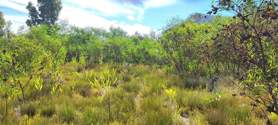 0 Bedroom Property for Sale in Franskraal Western Cape